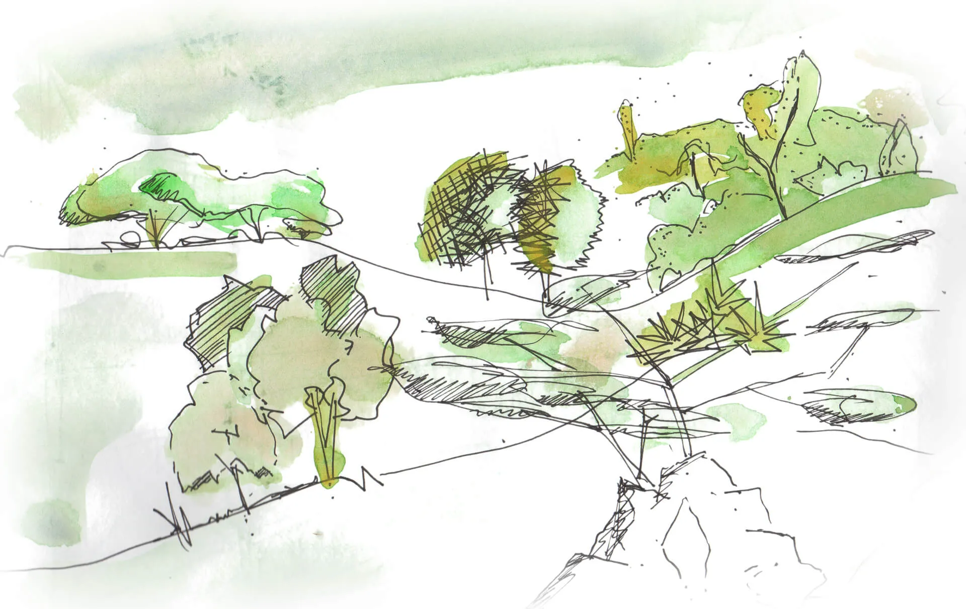 Aquarellskizze einer Landschaft mit Bäumen